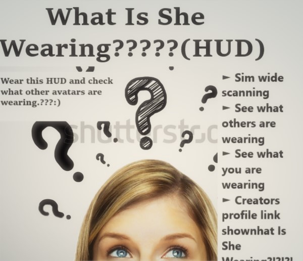 What Is She Wearing?!?!?! (HUD)