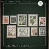 DD The Naturalist's Art Collage