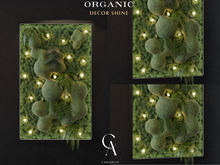 Organic Decor Shine - CANARUN - (Rezzme)