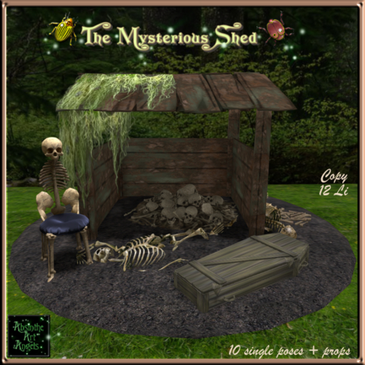 The Mysterious Shed
