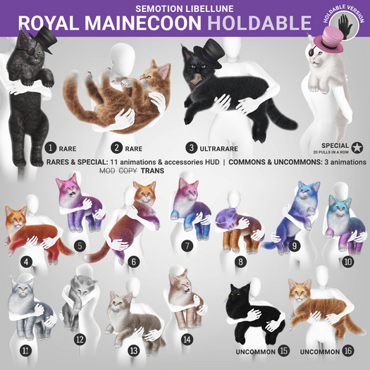 SEmotion Libellune Royal Mainecoon Holdable COMMON 09