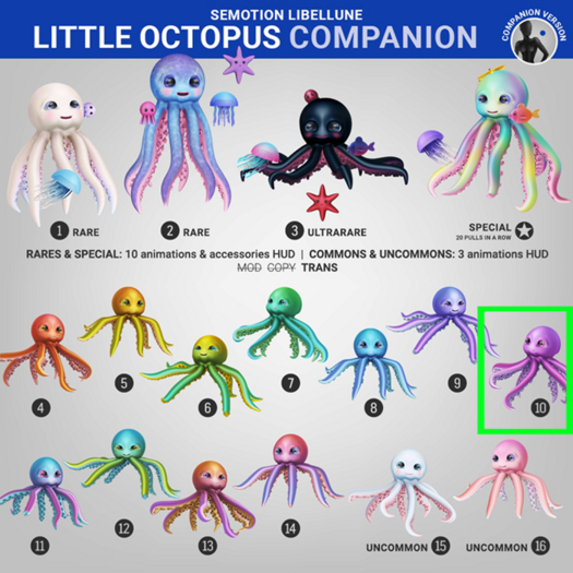 SEmotion Libellune Little Octopus Companion COMMON 10