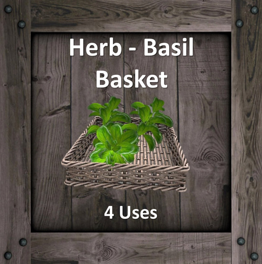DFS Herb - Basil Basket