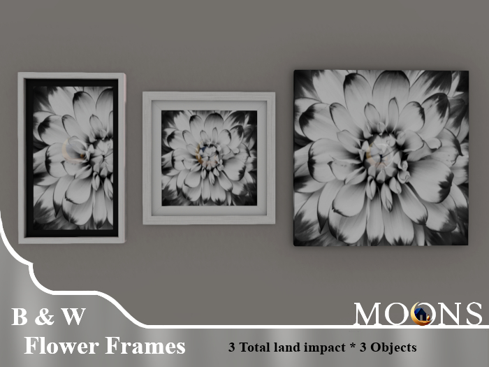 *MOONS* Black and white Flower frames