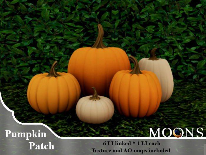 *MOONS* Pumpkin patch