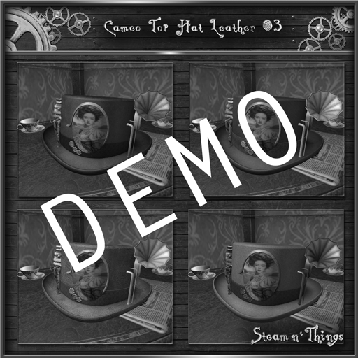 Sn'T Cameo-top-hat-Leather-DEMO