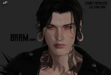 [ZENER]. Bram Shape - Lel Kris EvoX