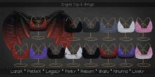 [HU] Ingrid Top&Wings_ALL BODIES !! WEAR TO UNPACK!!