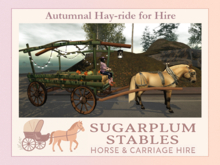 *Sugarplum Stables* Autumnal Hay-ride for Hire