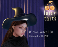 Wiccan Witch Hat - PBR