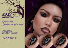 NOXS- LeLUTKA-EvoX-Eyelashes-Spider-on-the