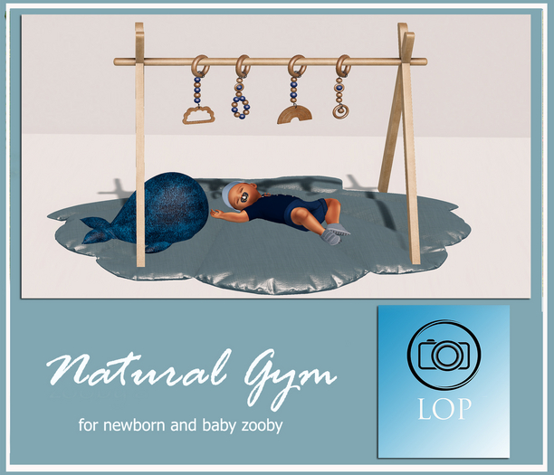 NATURAL GYM NEWBORN AND BABY ZOOBY (ADD)