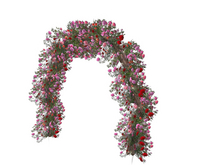 Rose Variety Arch Branch Mini Lights