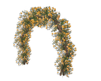 Yellow Rose Arch Branch Mini Lights