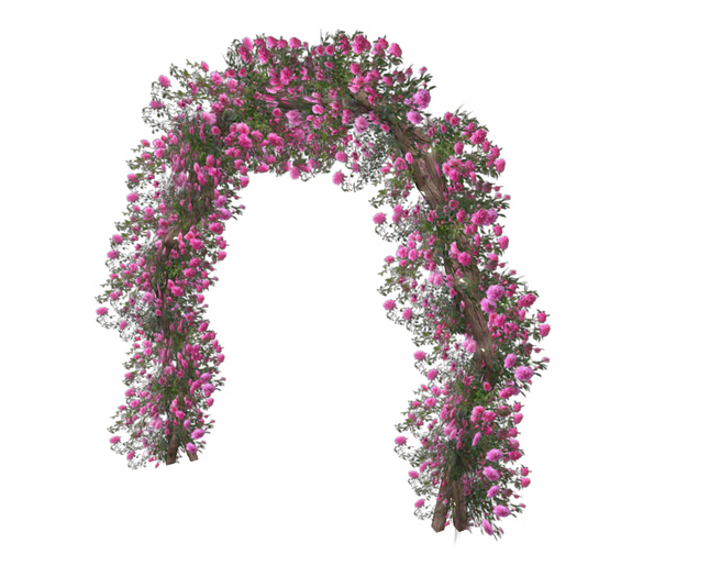 Pink Rose Arch Branch Mini Lights