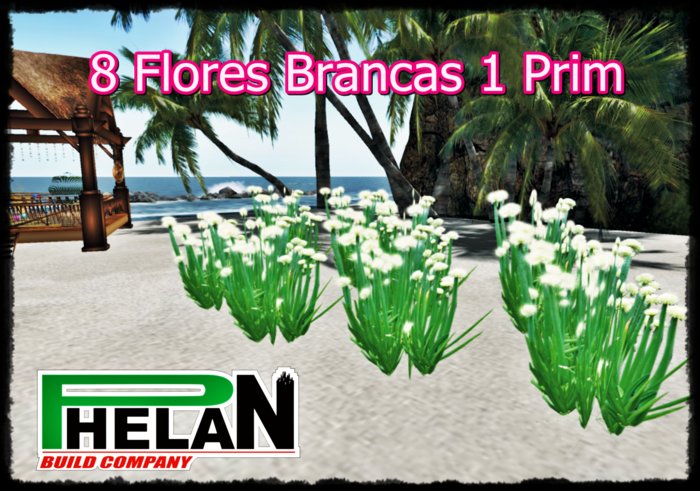Flor branca