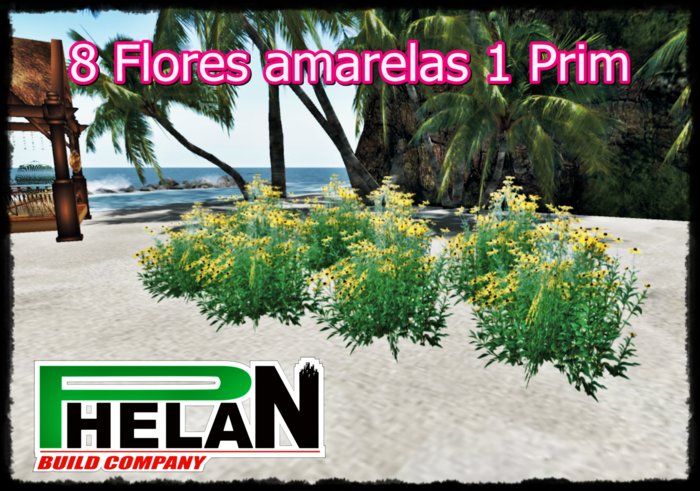 Flores amarelas margaridas