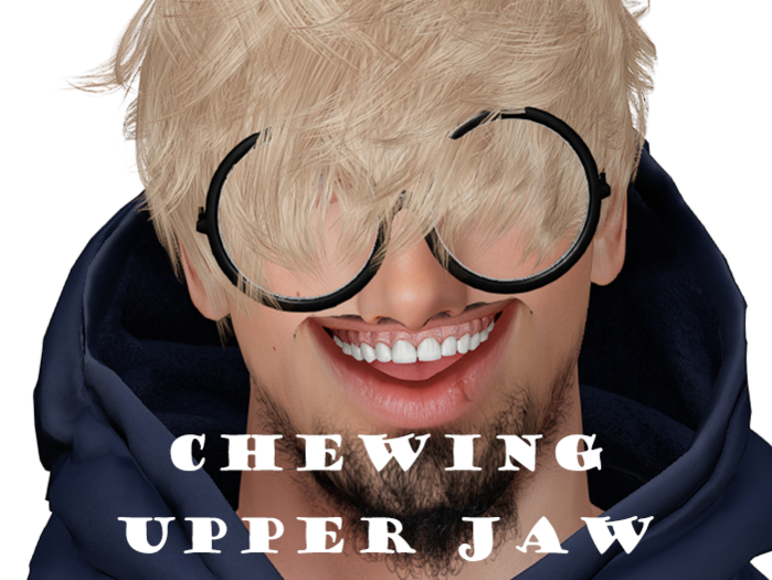 [STAIN] Chewing Upper Jaw Animation