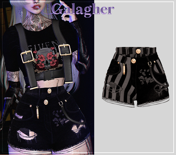 Galagher - Ryder Short Edition 8