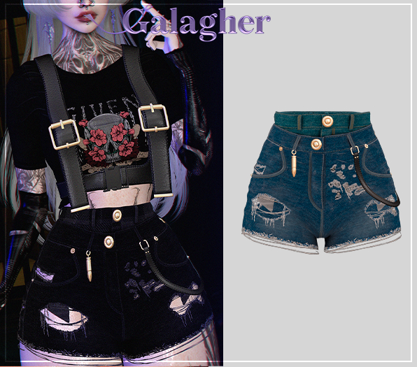 Galagher - Ryder Short Edition 3