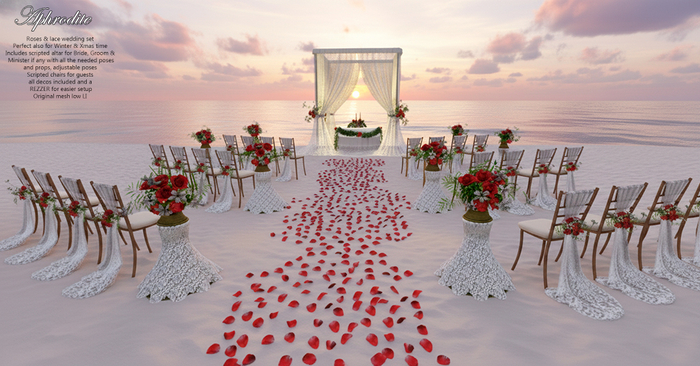 Aphrodite -Winter & Xmas  Wedding.Ceremony Set
