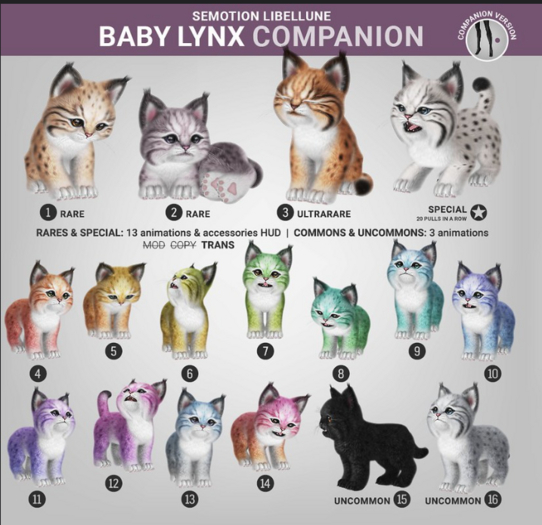 SEmotion Libellune Baby Lynx Companion RARE 02