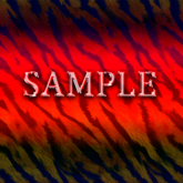 [ Tiger Seamless 05 ] C