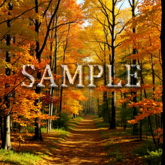 [ Autumn Walkway ] E