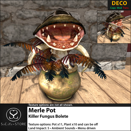 SaCaYa - Merle Pot - Killer Fungus - Bolete