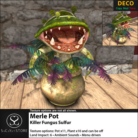 SaCaYa - Merle Pot - Killer Fungus - Sulfur