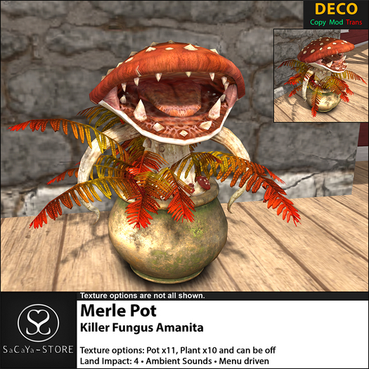 SaCaYa - Merle Pot - Killer Fungus - Amanita