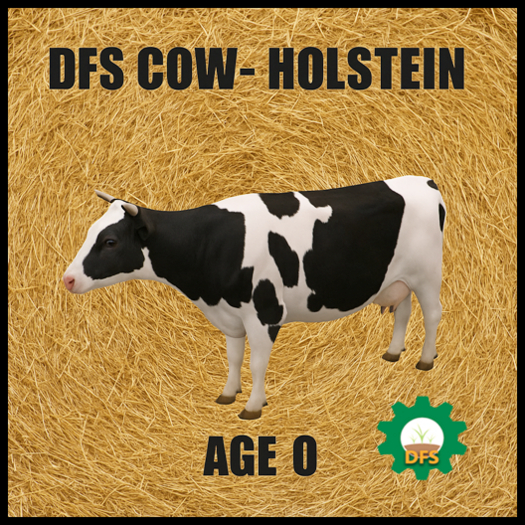DFS Cow - Holstein ACTUAL ITEM
