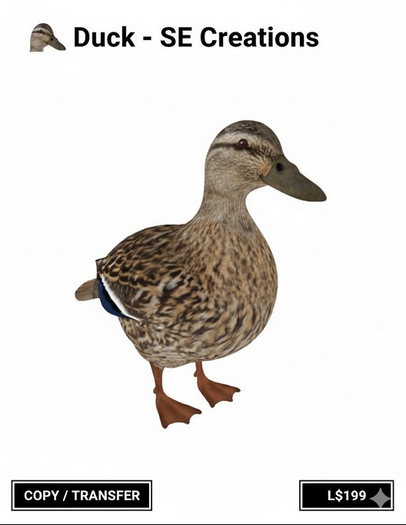 Duck - The Perfect Companion/Decor