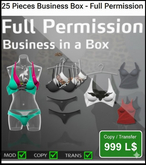 Full Permission Business in a Box - 25 Piece Lingerie & Apparel Collection!
