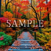 [ Autumn Forest Bridge ] A