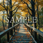 [ Autumn Forest Bridge ] C