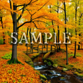 [ Autumn Forest Bridge ] D