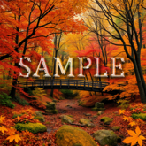 [ Autumn Forest Bridge ] E