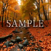 [ Autumn Forest River ] D