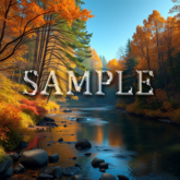 [ Autumn Forest River ] F