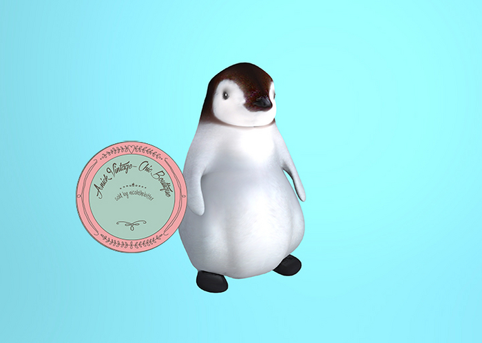 (fd) Animals - Baby Penguin