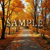 [ Autumn mountain path ] A