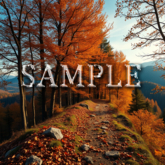 [ Autumn mountain path ] C