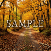[ Autumn mountain path ] E