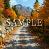 [ Autumn mountain path ] F