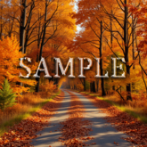 [ Autumn mountain path ] G