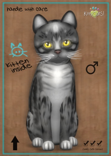 MEGAPUSS: KittyCatS Box - Genesis - Smokey II - MegaPuss