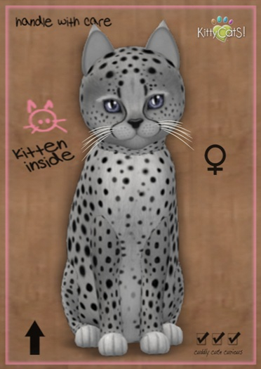 MEGAPUSS: KittyCatS Box - Cheetah! - Silver - MegaPuss