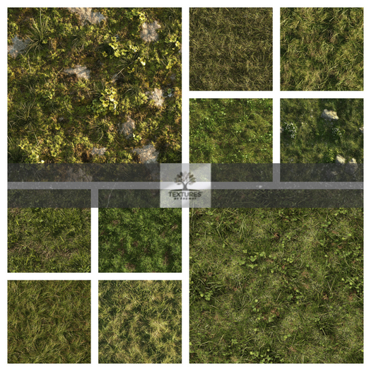TB - TEMPERATE MEADOW GRASS TERRAIN