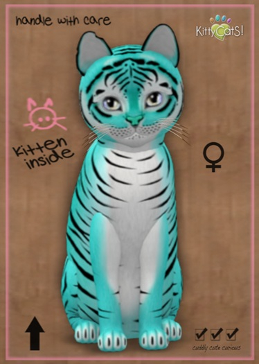 MEGAPUSS: KittyCatS Box - Tiger! - Turquoise - MegaPuss